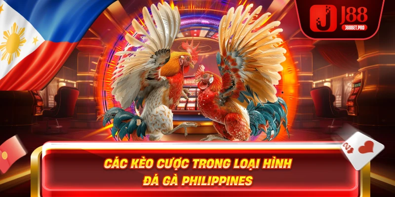 Các kèo cược trong loại hình đá gà Philippines